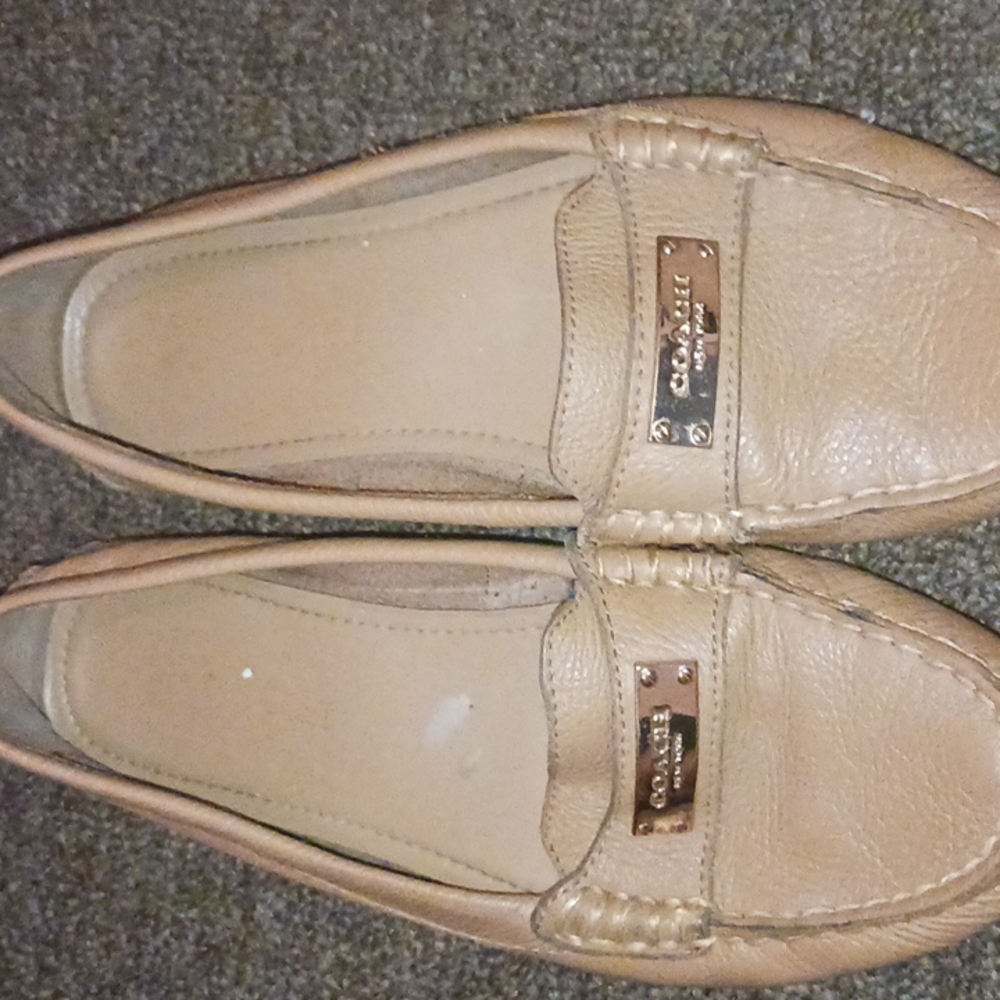 Coach  Shoes